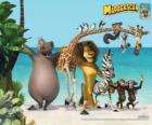 Gloria Hippo, Melman žirafa, lev Alex, zebra Marty s dalšími protagonisty dobrodružství
