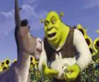 Shrek, zlobr, s jeho přítelem Osel