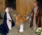 Svatá rodina - Josefa, Marie a malého Ježíška v jesličkách se vola a mezek