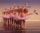 Holky dělá balet