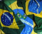 Brazilská vlajka je tvořena zelený obdélník, kosočtverec žlutá, kruh modré s kapelou bílá s mottem "ORDEM E PROGRESSO" a 27 hvězdy barva bílá