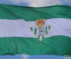 Real Betis Vlajka
