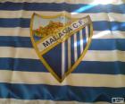 Malaga C.F. vlajka