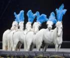 Koně, které jednají v cirkuse