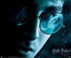 Harry Potter a Half-Blood Prince