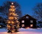 Dům s velkým vyzdobený vánoční strom v zahradě