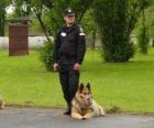 Policistu s jeho policejní pes