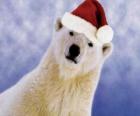 Lední medvěd s kloboukem Santa Claus