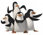 Tučňáci, Skipper, Kowalski, Rico a soukromé.