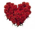 Srdce z červených růží