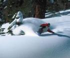 Snowboarder sestupně v čerstvém sněhu
