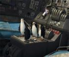 Tučňáci opravit staré zřítilo letadlo