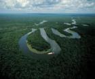 Rio Amazonas, v areálu ochrany střední Amazonie, Brazílie