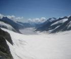 Švýcarské Alpy Jungfrau-Aletsch, Švýcarsko.