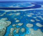 Velký bariérový útes, korálové útesy na celém světě největší. Austrálie.