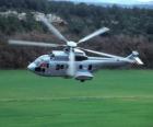 Velké Cougar vrtulník EC725