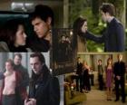 Twilight Saga: New Moon