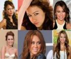Miley Cyrus je známá pro její role jako Miley Stewart / Hannah Montana na Disney Channel Original Series, Hannah Montana.