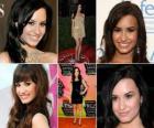Demi Lovato je herečka a zpěvák americké rockové. Známý pro její roli jako Mitchie Torres v Disney Channel Original Movie, Camp Rock