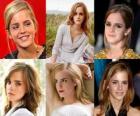 Emma Watson byl známý pro její roli jako Hermiona Grangerová, jeden ze tří hvězd z filmu Harry Potter série