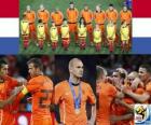 Nizozemsko, 2. místo v Mistrovství světa ve fotbale 2010 Jižní Afrika