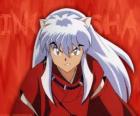 InuYasha je hlavní protagonista dobrodružství. On je polovina-démon, narozený otec pes démon a lidská matka