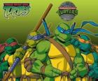 Čtyři Ninja Turtles: Leonardo, Michelangelo, Donatello a Raphael. Želvy Ninja, TMNT