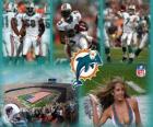 Miami Dolphins