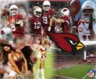 Arizona Cardinals