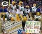 Green Bay Packers NFC šampion 2010-11