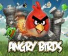 Angry Ptáci Rovio je videohra. Angry ptáci útočí na prasata, kteří kradou vejce