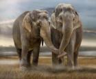 Dvě velké sloni s propletené kmeny