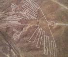 Letecký pohled na jednu z postav, pták, část Nazca Lines v poušti Nazca, Peru