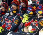 Red Bull mechanické sledování závodu