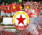 CSKA Sofia, bulharský fotbalový tým