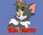 Tom a Jerry jsou hlavními protagonisty legrační dobrodružství