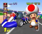 Toad s kart. Toad je občanem hub království a věrný sluha princezny Peach