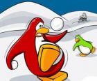 Penguins válku sněhu na Club Penguin