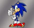 Ježek Soník, hlavní protagonista videohry Sonic od Sega