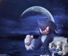 Sonic Werehog, nejnovější Sonic transformace, v noci se promění ve vlka ježek