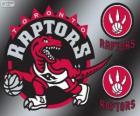Toronto Raptors logo, tým NBA. Atlantická Divize, Východní konference