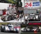 Audi R18 TDI 2011 24 hodin Le Mans mistrů