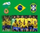 Brazílie národní tým, skupina B, Argentina 2011