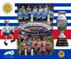 Uruguay proti Paraguay. Konečná Copa America Argentina 2011. 24. července Stadion Monumental, Buenos Aires