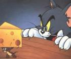 Tom kočka překvapil Jerry myši při kousek sýra