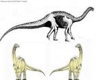Zizhongosaurus je rod bazální býložravého sauropodního dinosaura, který žil v rané jury období Číny.