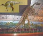 Zhuchengosaurus je jedním z největších známých hadrosaurids