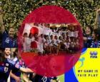 2011 FIFA Fair Play Award za japonské fotbalové asociace