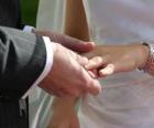 Ruka nevěsty s kroužkem a rukou ženicha