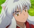 Inuyasha hlavu s jeho dlouhými vlasy